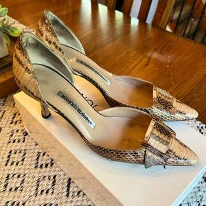 Snakeskin Manolo’s